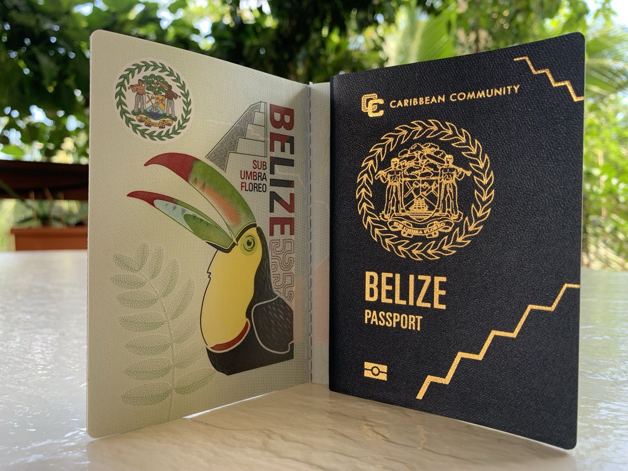 Belize Immigration